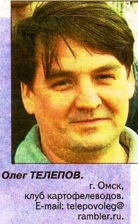 Азарт - сорт растения огурец