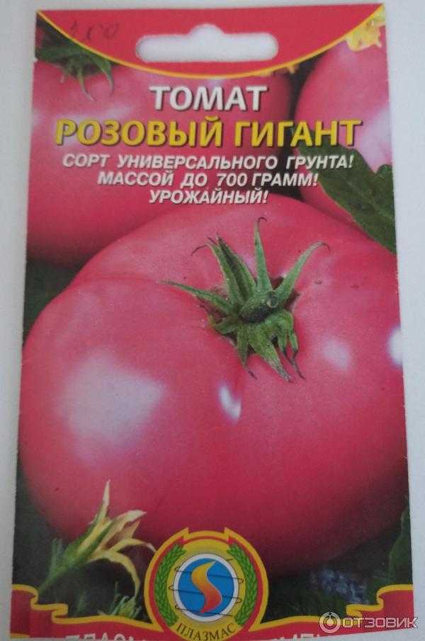 Характеристики сорта томатов "розовый слон"