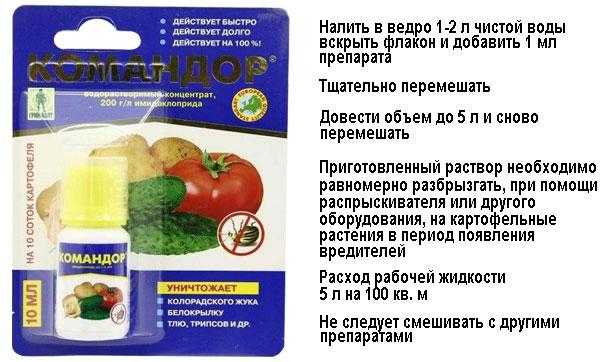 Как справиться колорадским жуком? советы от дмитрия белова, к.б.н. + видео