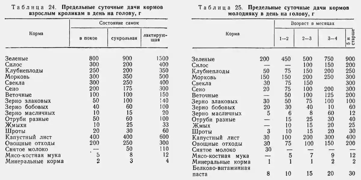 Каким зерном лучше кормить кроликов