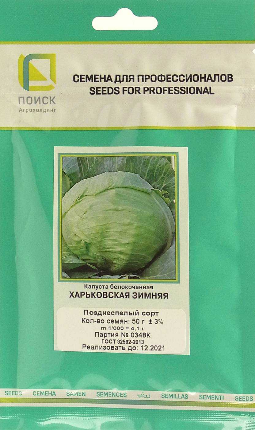 Описание сорта капусты харьковская зимняя, особенности выращивания и ухода. описание сорта капусты харьковская