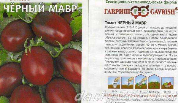 Крайне необычный и экзотичный гость на вашей грядке — томат «негритенок»: выращиваем сами и наслаждаемся урожаем