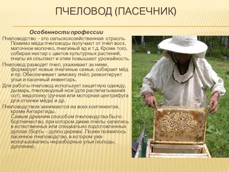 Почему засахаривается мед: процесс и срок кристаллизации