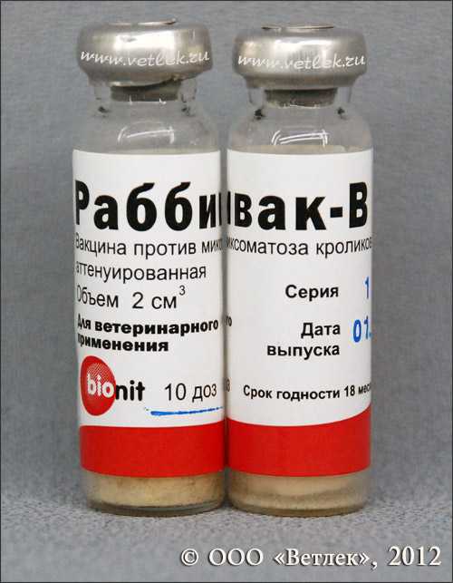 Вакцина раббивак-v для кроликов: инструкция по применению, дозировка - omvesti.com
