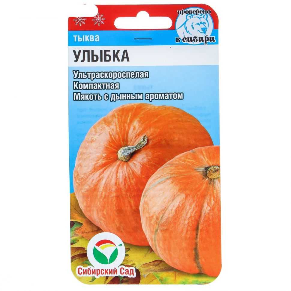 Тыква кустовая: выращивание, посадка и уход с фото