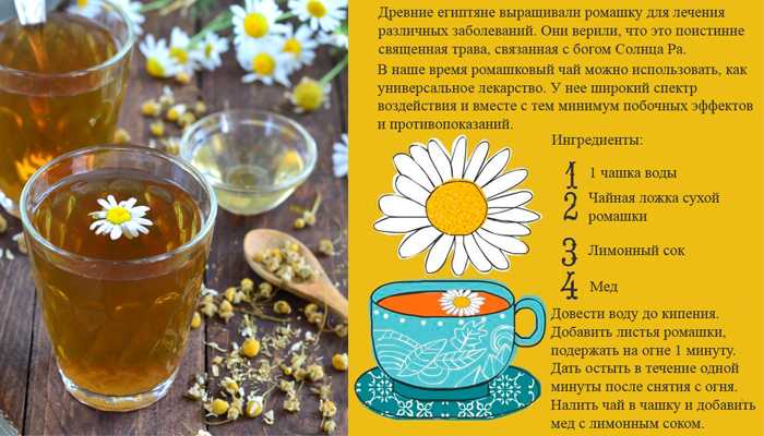 Сушеная ромашка – когда собирать и как правильно высушить