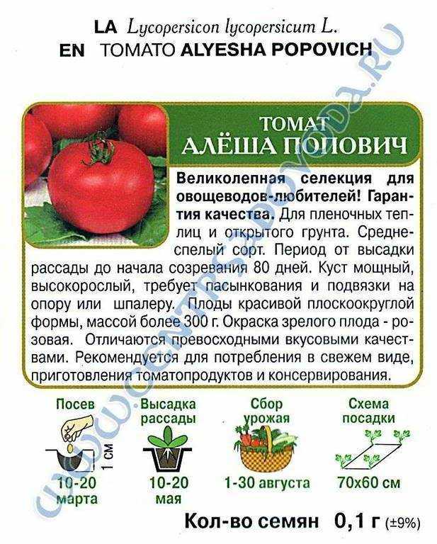 Томат алеша попович: описание сорта, характеристика, отзывы