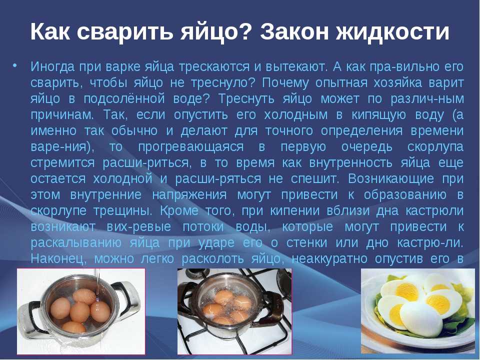 Страусиная ферма для начинающих — практичные рекомендации