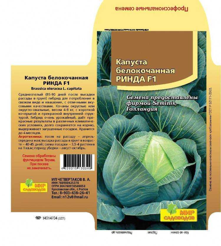 Всё о капусте ринда - описание сорта, посадка, уход и другие нюансы + фото