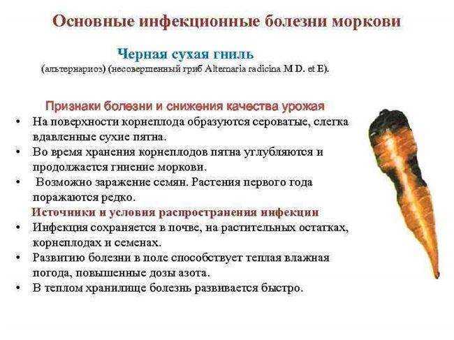 Гниль на помидорах серая, белая и черная: каковы отличия от пятнистости листьев, как бороться, чем лечить плоды томатов в теплице, как избавиться на рассаде?