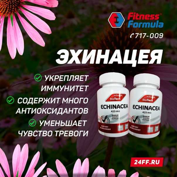 Эхинацея - популярное растение для вашего цветника: сорта с фото и все секреты выращивания