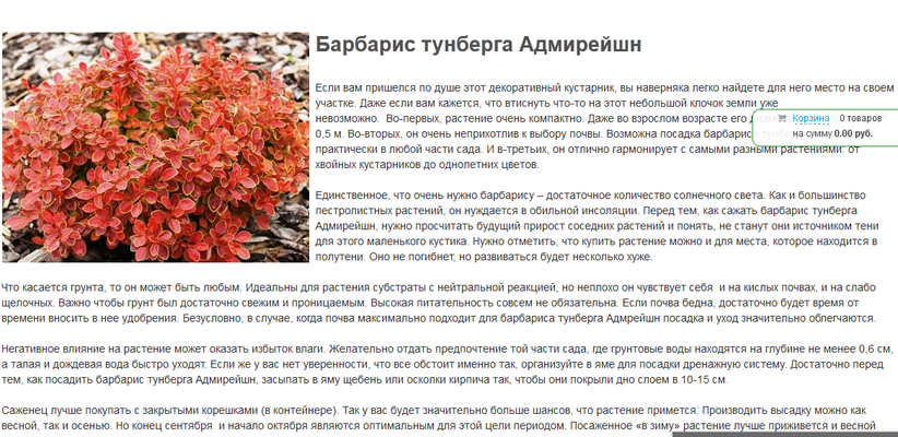 Описание сортов барбариса тунберга