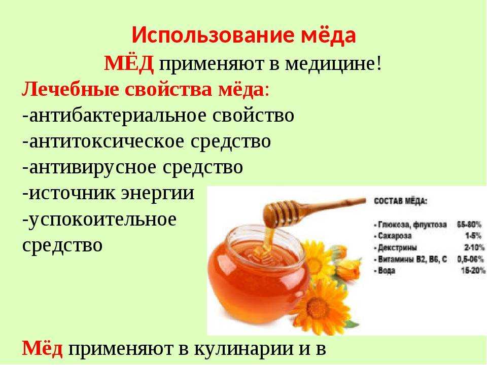 Подсолнечный мед: польза и вред, полезные свойства и противопоказания, применение в народной медицине