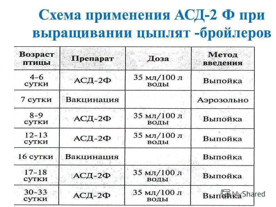 Глисты у кур несушек, цыплят, симптомы и лечение флубенверт, пиперазин