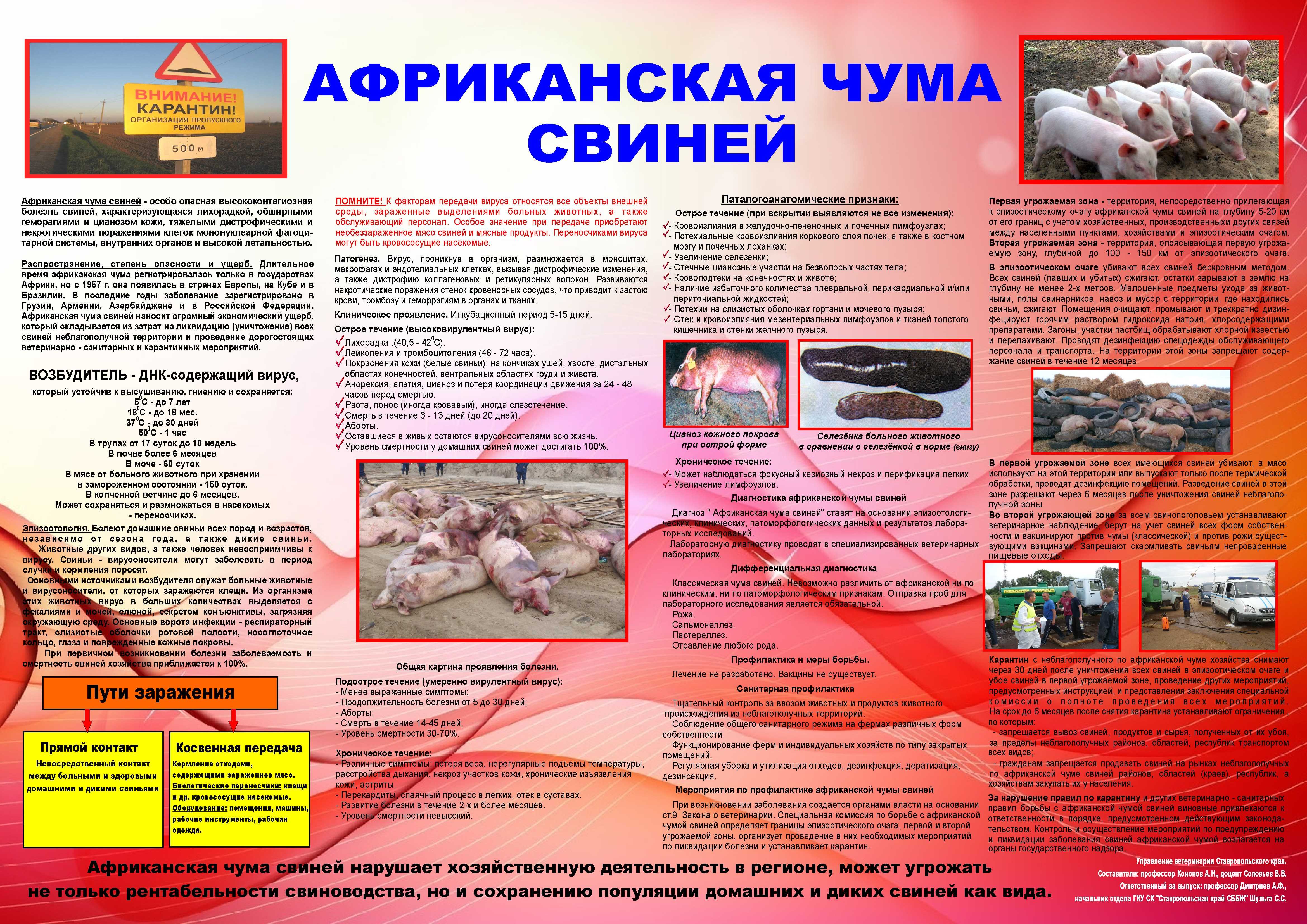 Памятка для населения по профилактике ачс