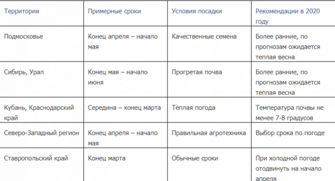 Любительское руководство: как сажать картофель в открытый грунт