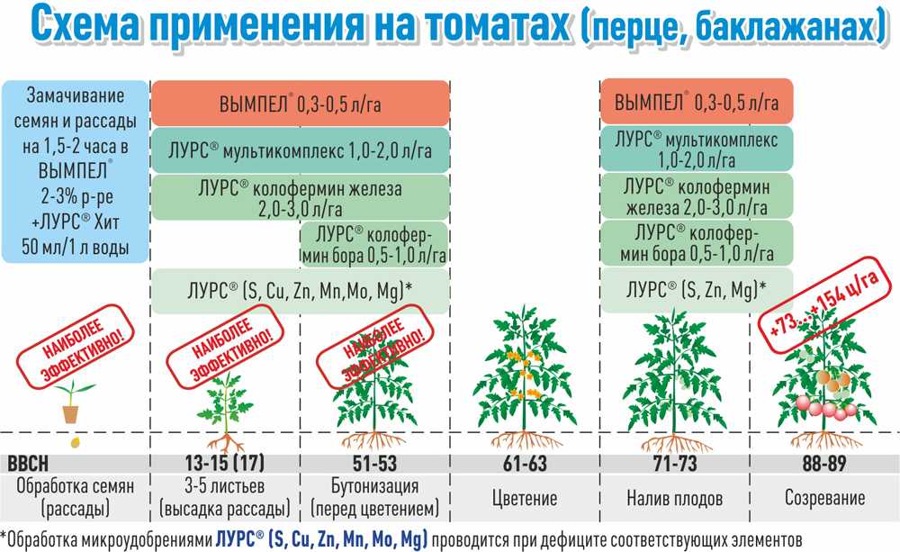 Помидоры: посадка и уход, как вырастить из семян в открытом грунте, фото