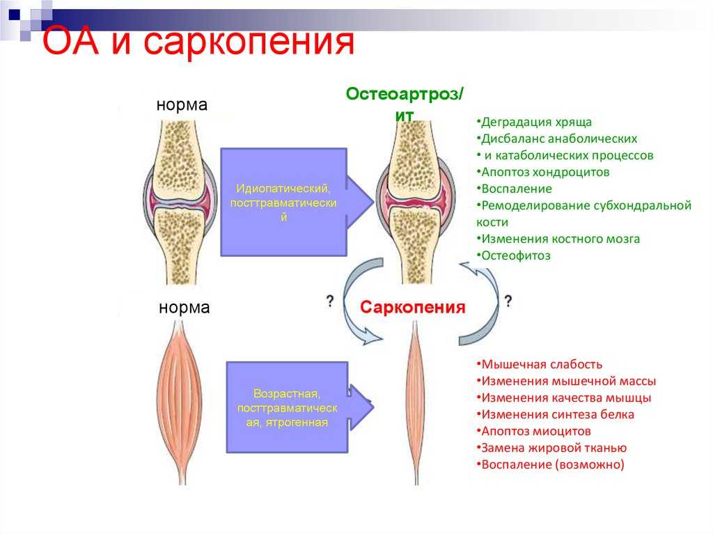 Мозаика томатов: фото болезни на листьях и ее лечение калием, как бороться с табачным и огуречным вирусом в теплице