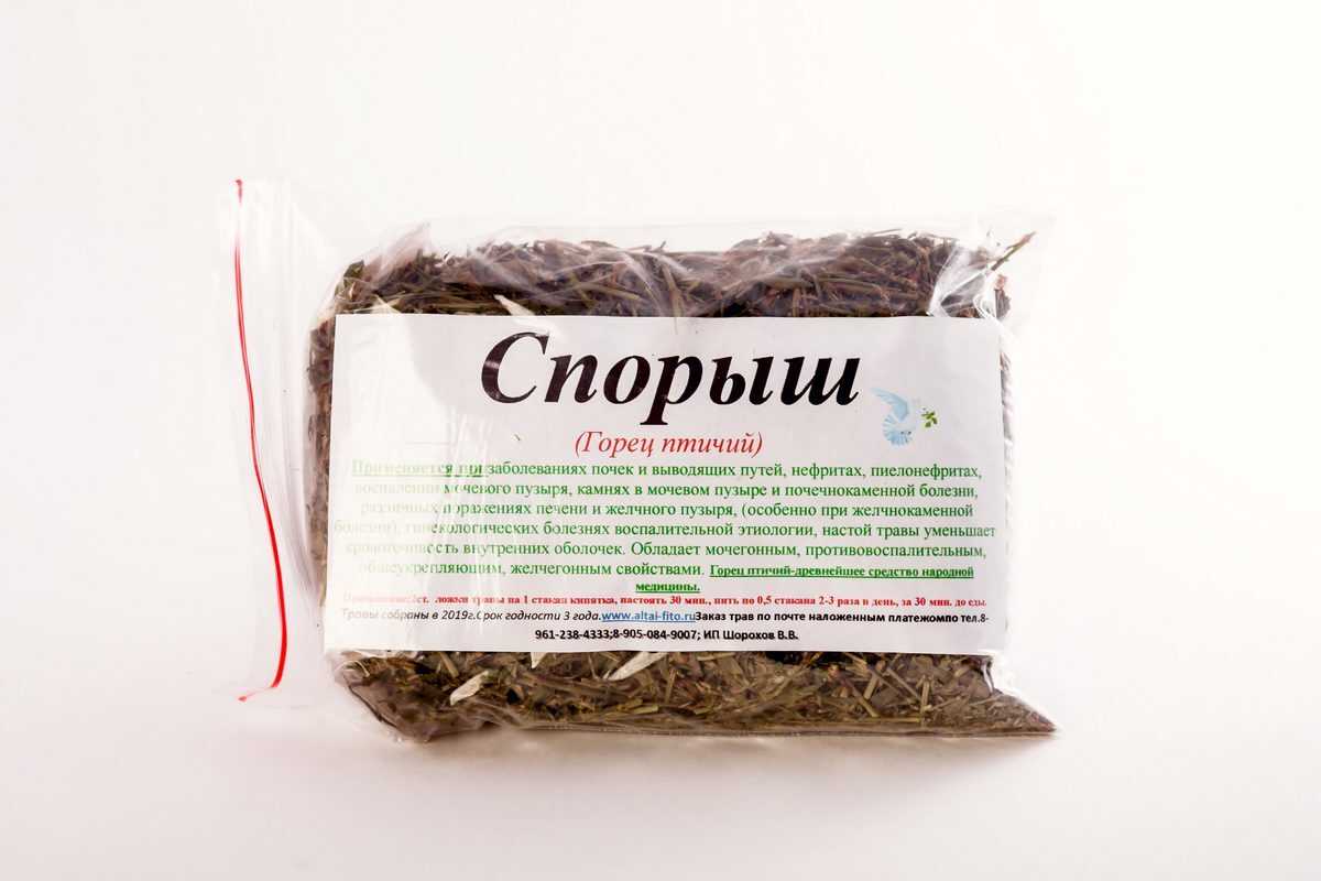 Трава горец птичий (спорыш) – лечебные свойства и противопоказания