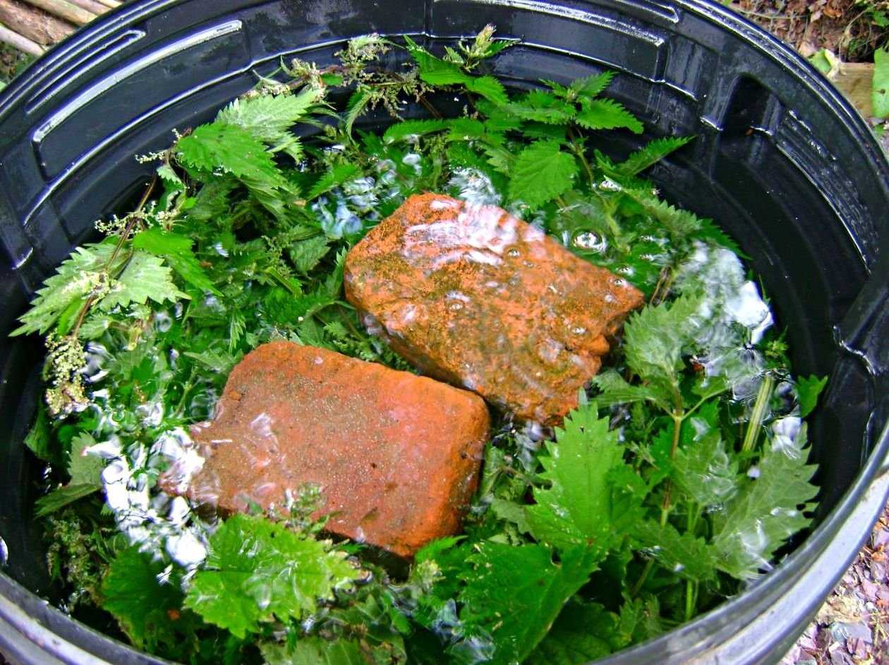 Как сделать удобрение из крапивы: 8 простых рецептов