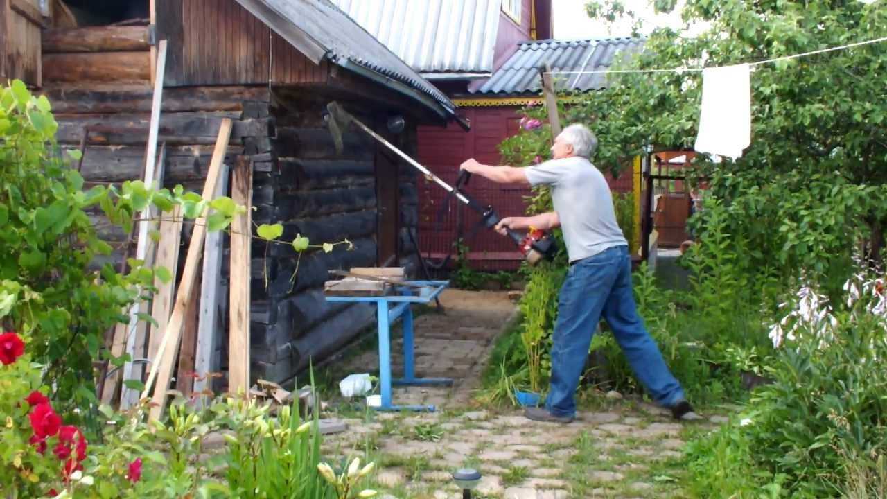 Земляные пчёлы: польза, вред, способы борьбы