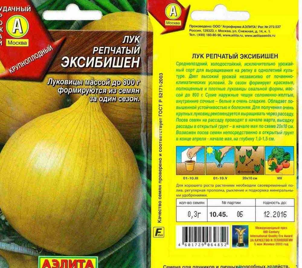 Лук эксибишен: выращивание из семян рассадой