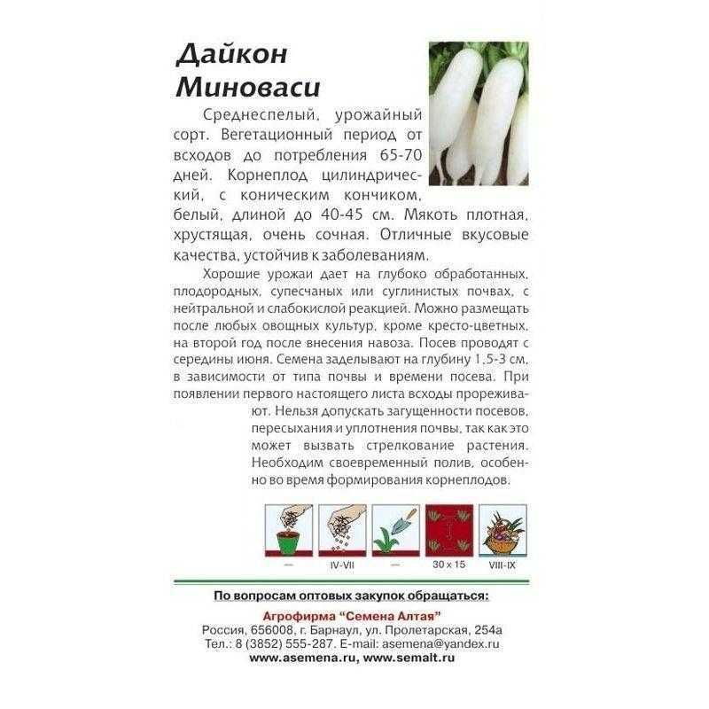 Японская редька дайкон в россии и за ее пределами