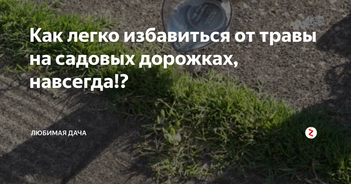 Как избавиться от травы на огороде раз и навсегда народными средствами