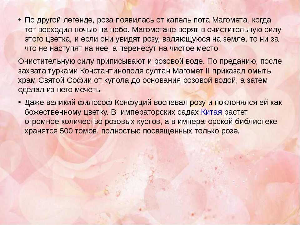 Доклад-сообщение роза для детей 1, 2, 3, 4, 5, 6 класс по биологи, окружающий мир