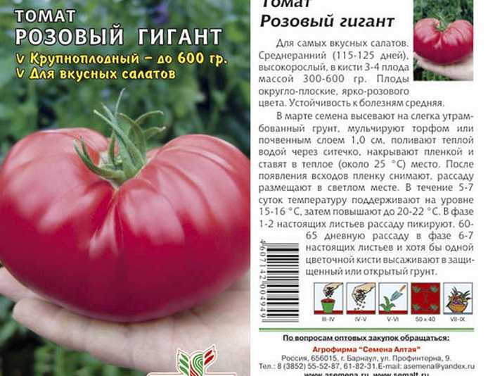 Описание томата малиновый гигант: отзывы, фото, видео