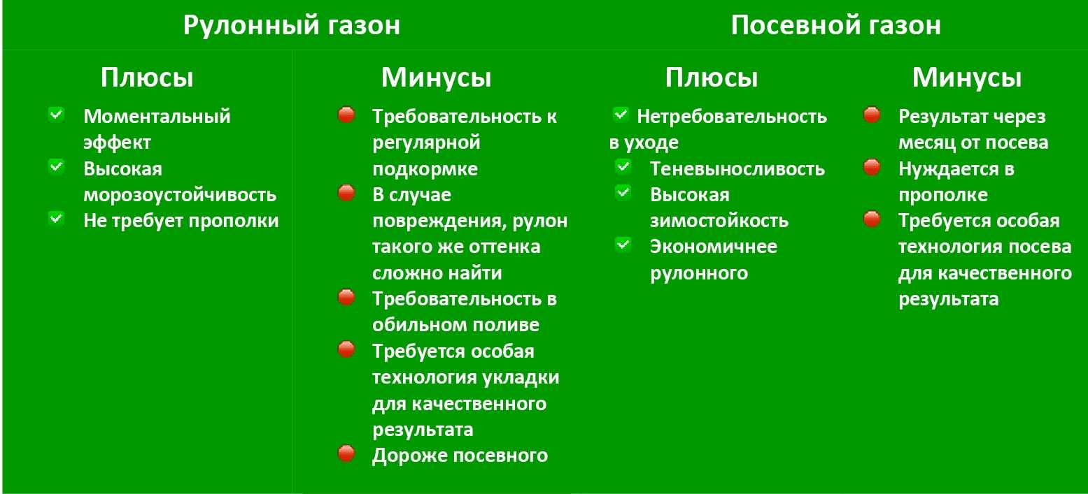 Виды газонной травы: лучшая трава для газонов, сорта не требующие ухода и стрижки