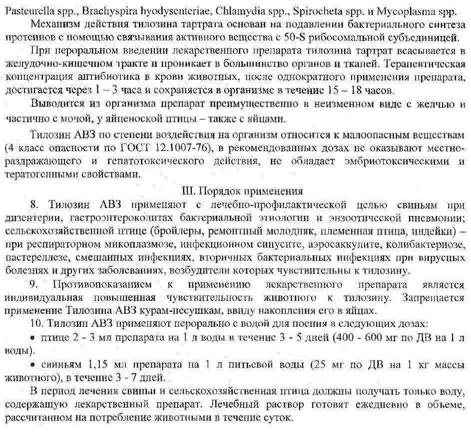 Тетрамизол: инструкция по применению в ветеринарии для свиней, птиц, кур