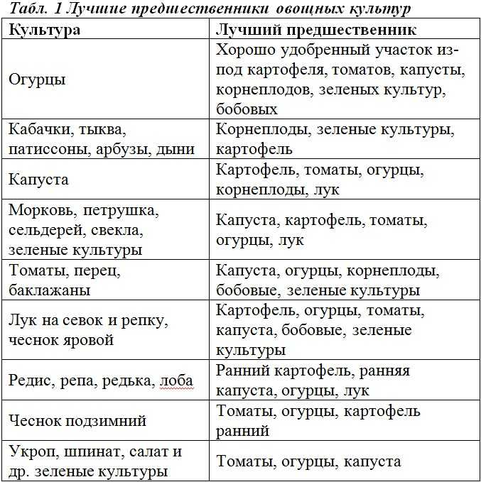 Что можно сажать после лука и чеснока, таблица севооборота. - фермер без хлопот