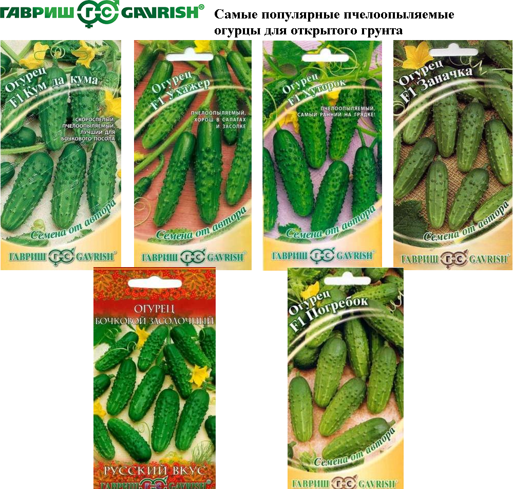 Таблицы характеристик сортов огурцов. по способу выращивания, срокам созревания, типу роста, использованию, урожайности — ботаничка