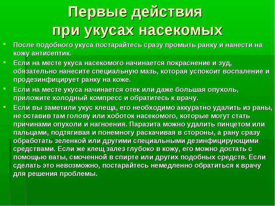 Что делать, если укусила пчела или оса?