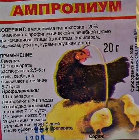 Ампролиум: инструкция по применению для птенцов и взрослых птиц