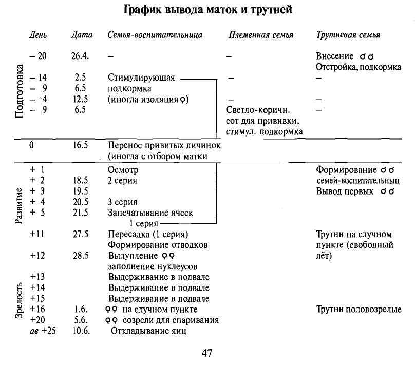 Пчелиная матка - королева пчел, которая иначе выглядит и обеспечивает продолжение рода, иначе ее могут убить – med-pochtoi.ru