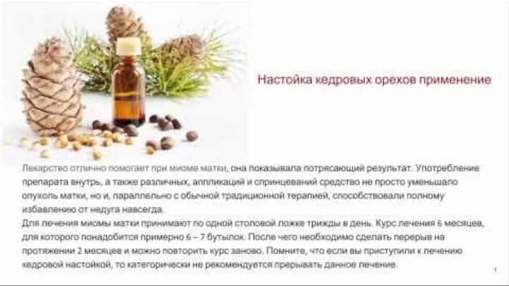 Туя западная