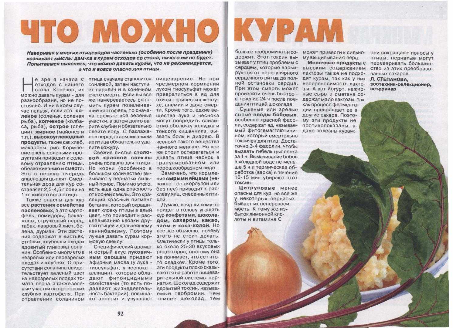 ᐉ какую траву можно давать курам несушкам? - zooon.ru