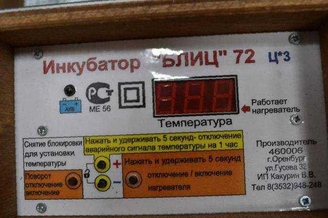 Инкубатор блиц. руководство и инструкция по эксплуатации