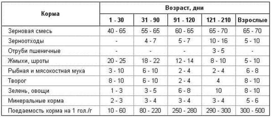Кормление индюшат с первого дня в домашних условиях -