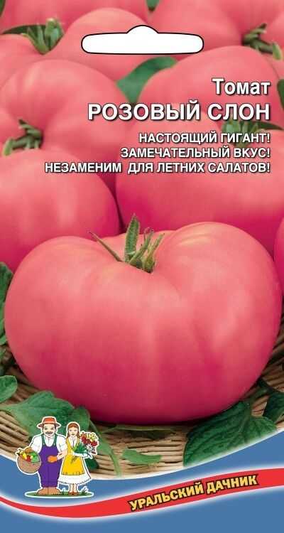 Томат розовый слон: отзывы (25), фото, урожайность, описание и характеристика сорта | tomatland.ru