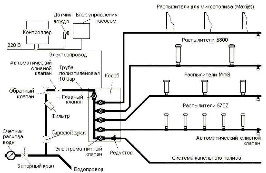 Система полива своими руками: пошаговая инструкция и схемы