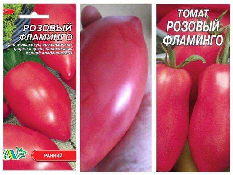 Томат розовый фламинго: описание сорта, отзывы (10), фото, характеристика | tomatland.ru