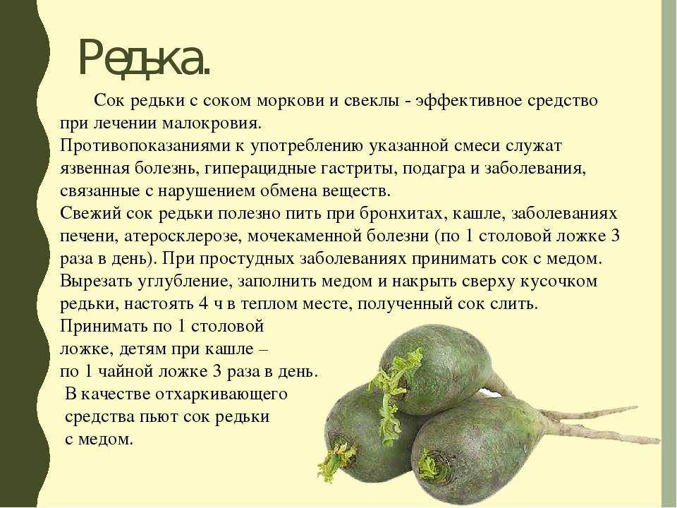 Маргеланская редька: фото, польза и вред, рецепты приготовления, калорийность
