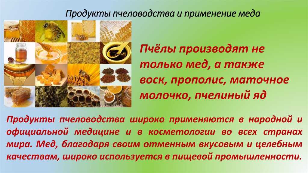 Продукты пчеловодства, их полезные и целебные свойства