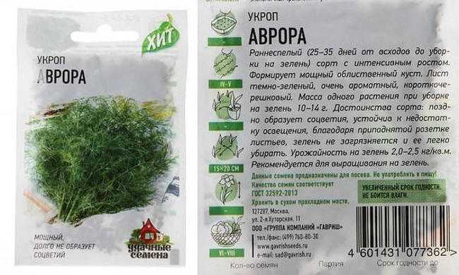 19 сортов укропа ? с фото и описанием на зелень без зонтиков и с ними 