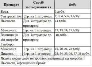 Как давать птицам лекарства?