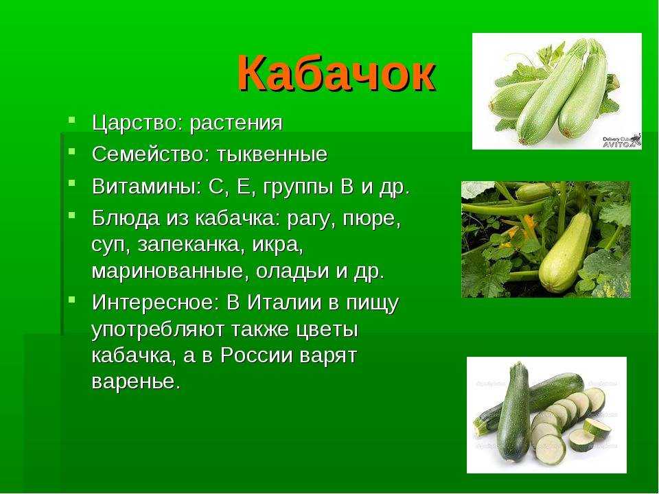Блюда из кабачков быстрые и вкусные — 20 простых рецептов