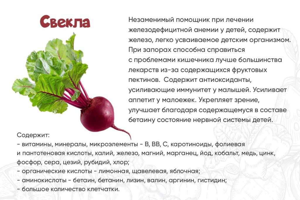 Выращивание винограда на урале